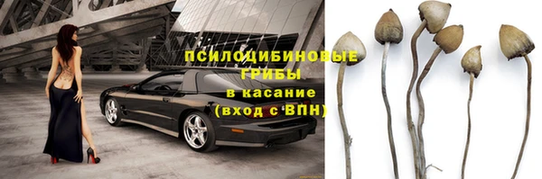 марки lsd Нея