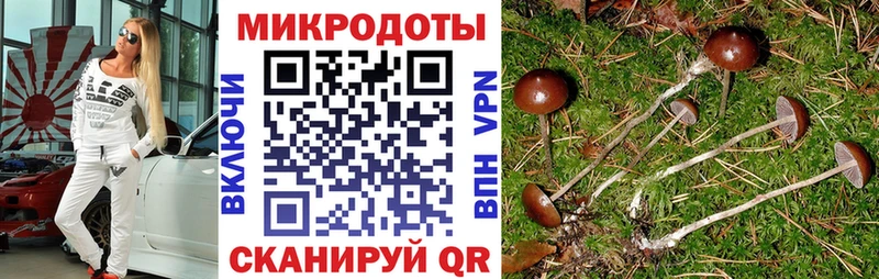 ссылка на мегу tor  Оса  Галлюциногенные грибы ЛСД 